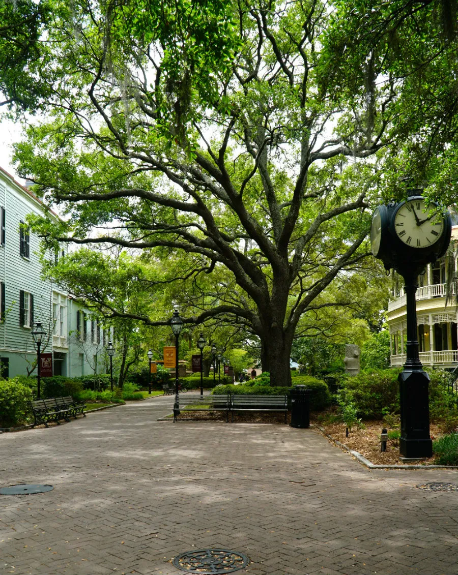 Charleston Getaway includes a visit to the College of Charleston campus