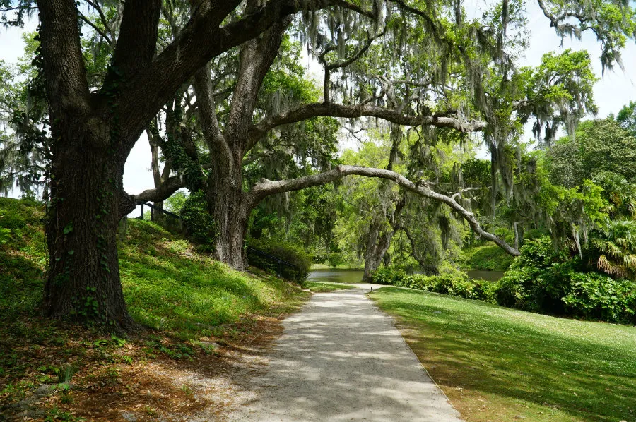 A tour of Middleton Plantation in Charleston, SC on our Charleston Getaway