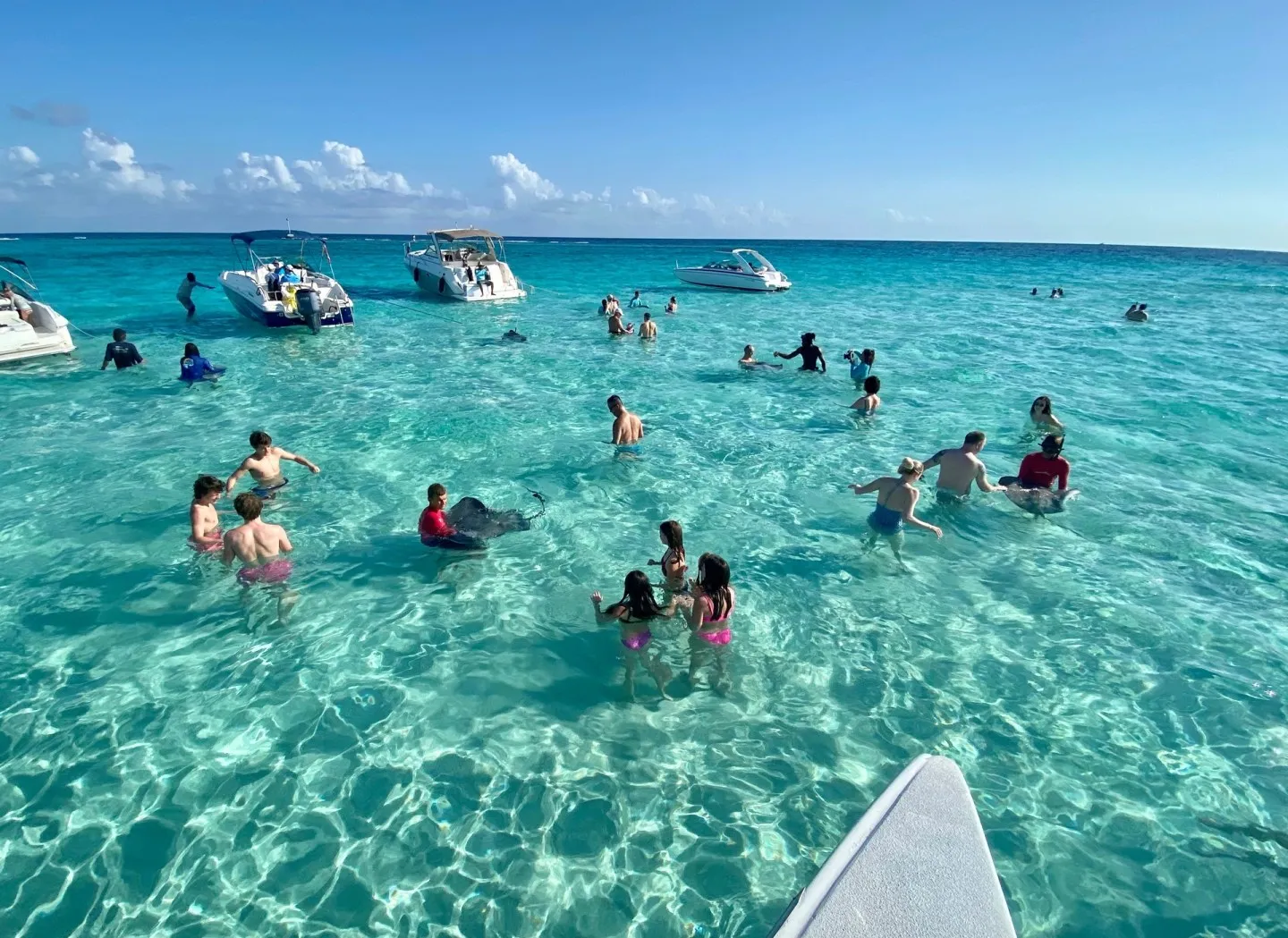 Day trip to Stingray City in Cayman Islands 