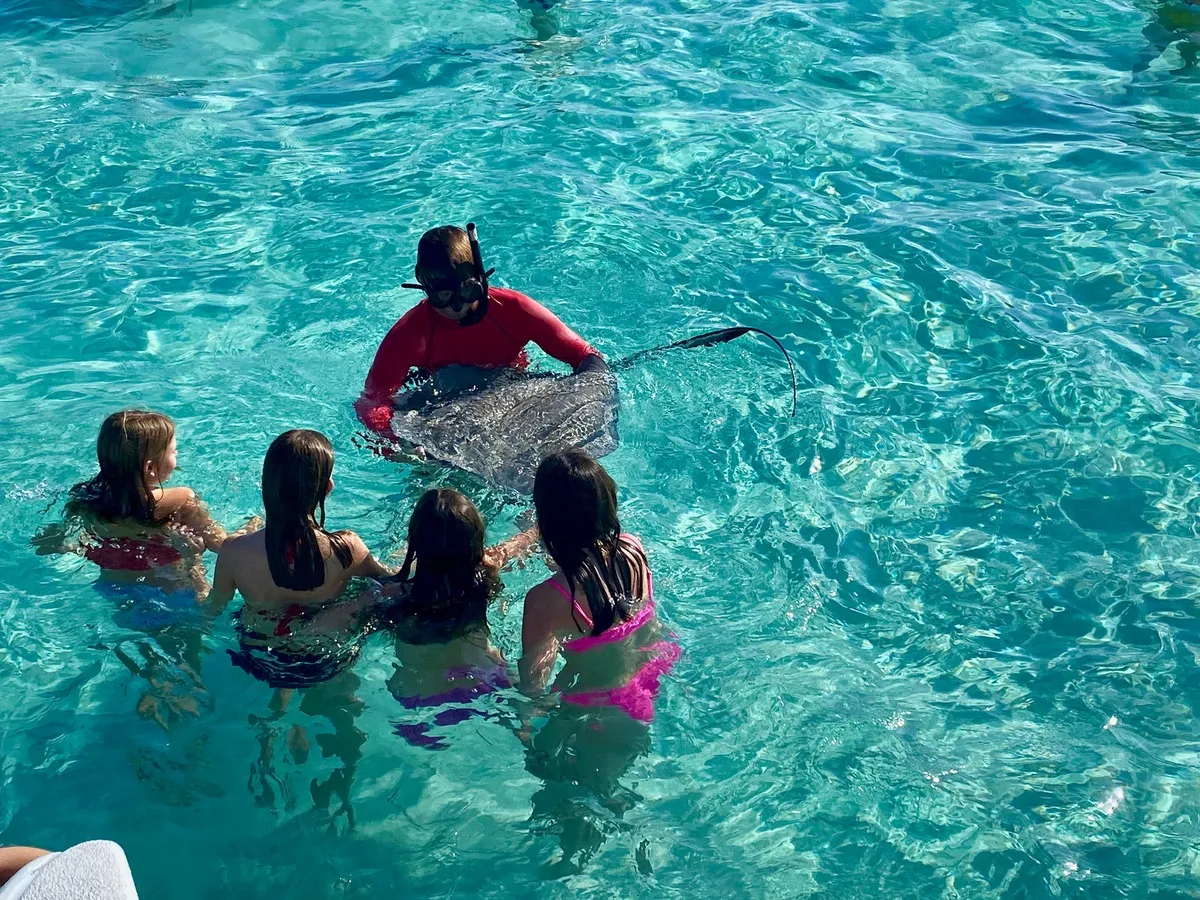 Touching a stingray at Stingray City in the Cayman Islands