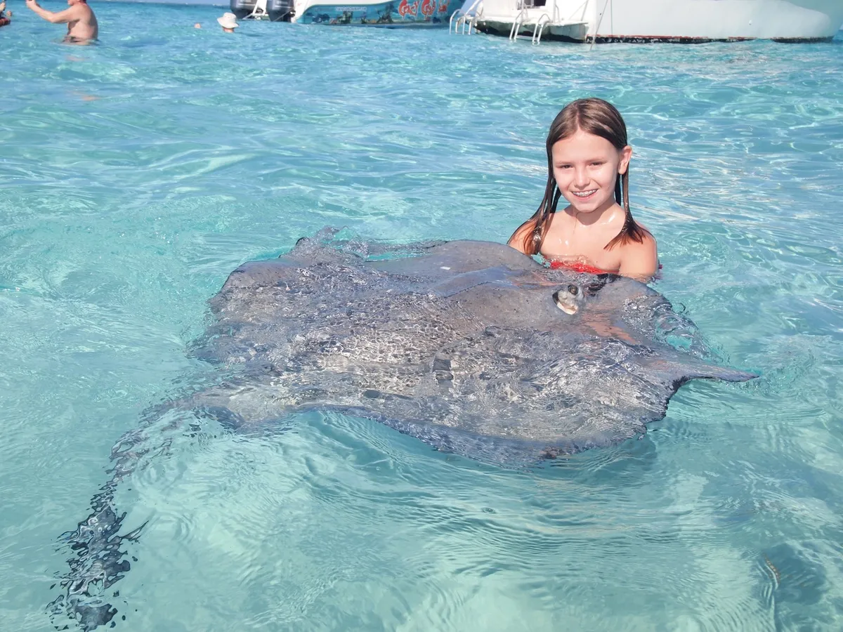 Holding stingrays at Stingray sandbar in Grand Cayman