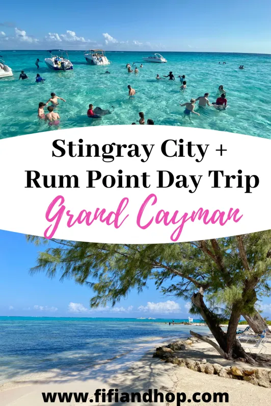 Stingray City and Rum Point day trip in Grand Cayman