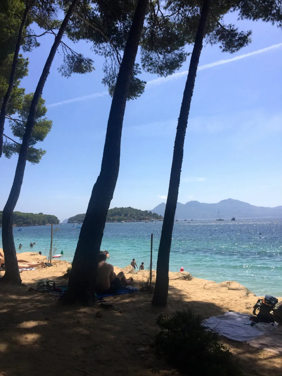 Formentor-beach-Mallorca-pine-trees-