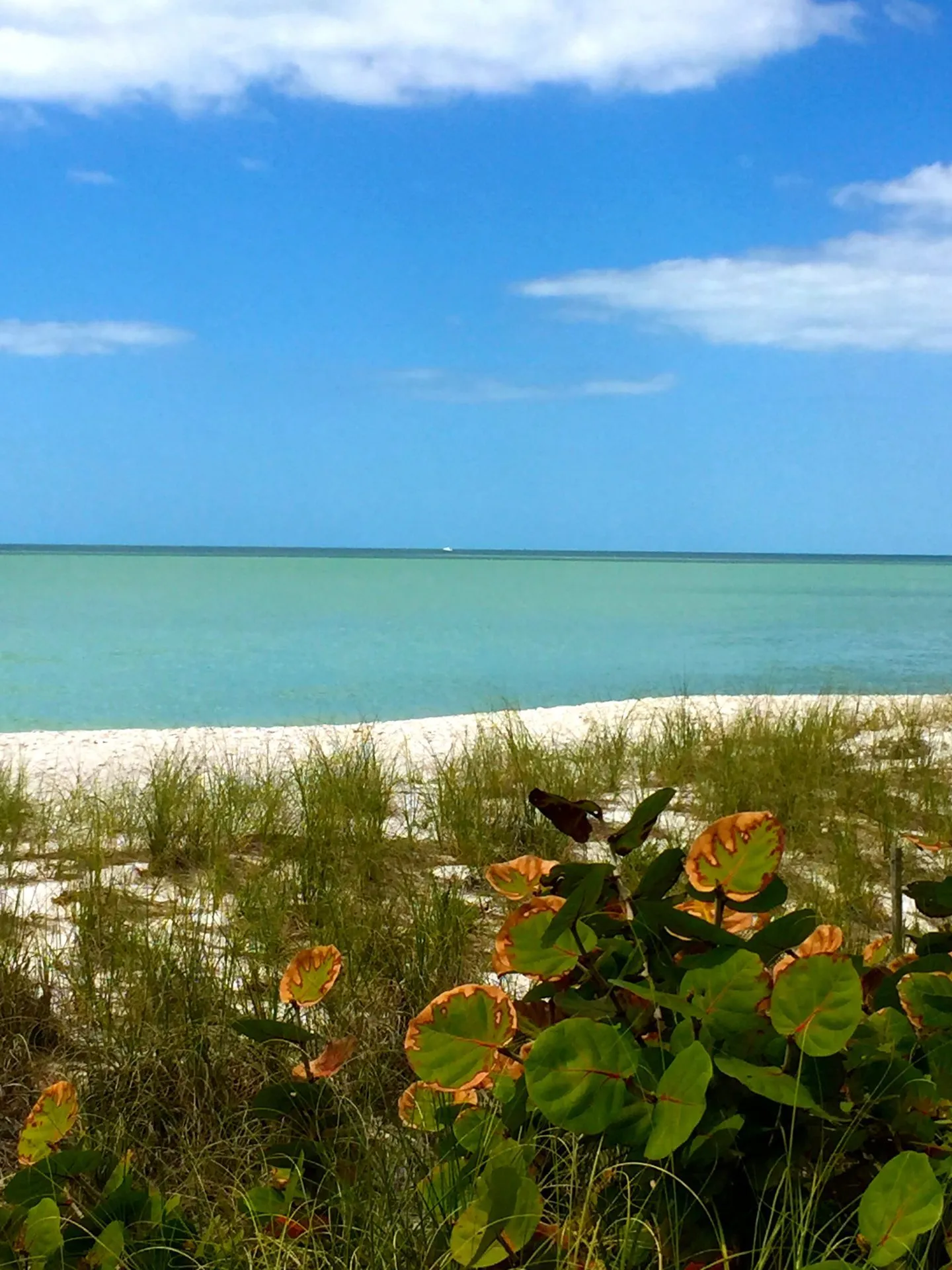 Guide to Sanibel + Captiva: Florida’s Island Oasis