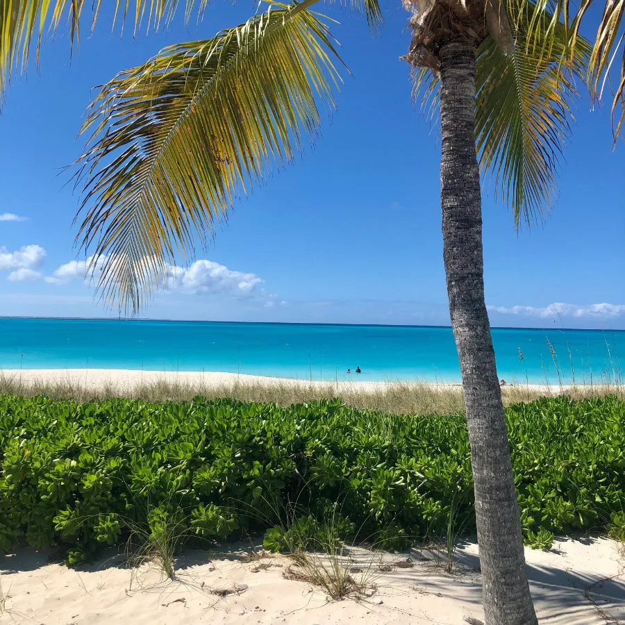 Guide to Turks and Caicos