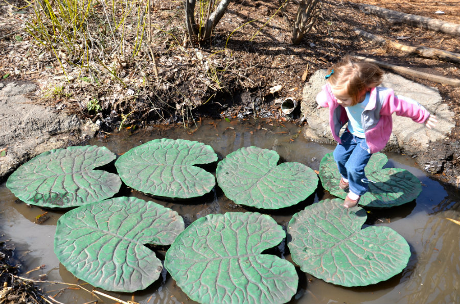 Lilly pad hopping on day excursion to Brooklyn zoo.