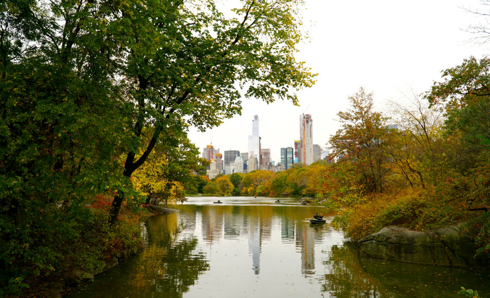 Walk through Central Park for 24 hours in New York City travel fix.