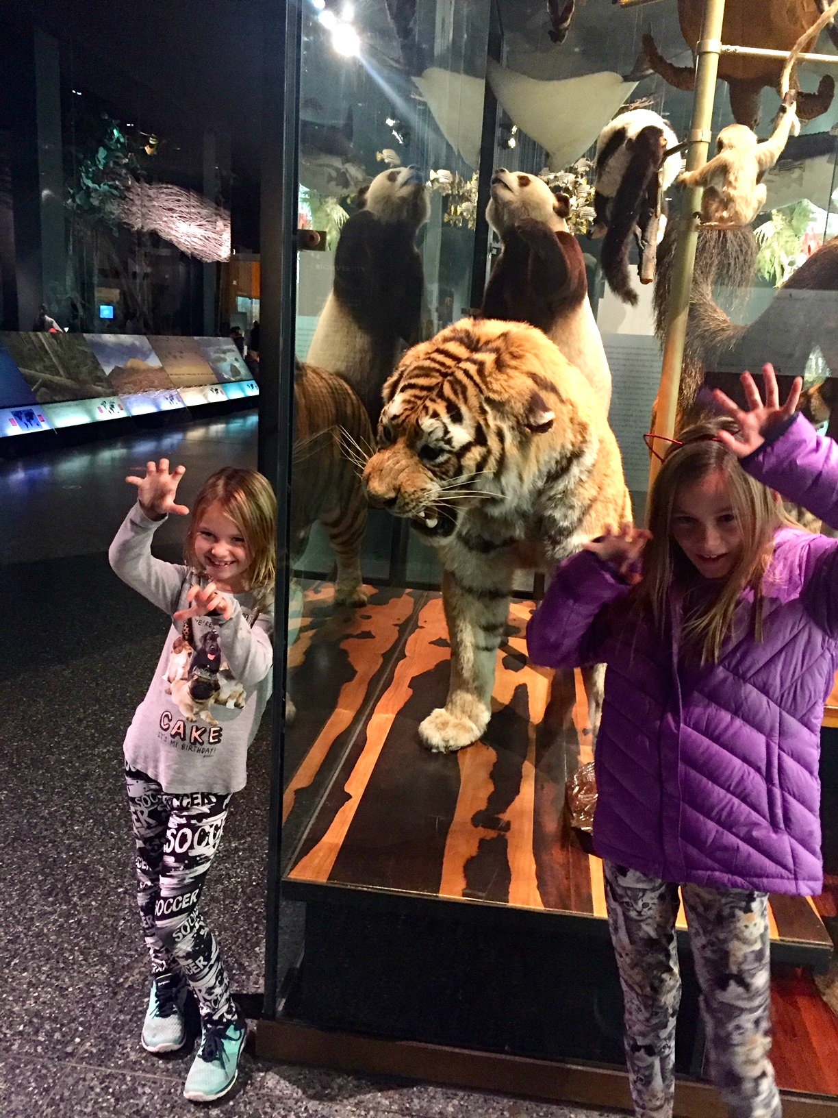 Museum-Natural-History-New-York-