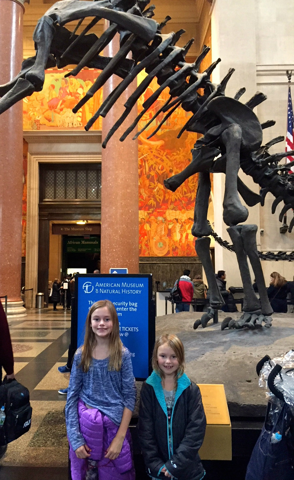Museum of Natural History for 24 hours in New York City travel fix