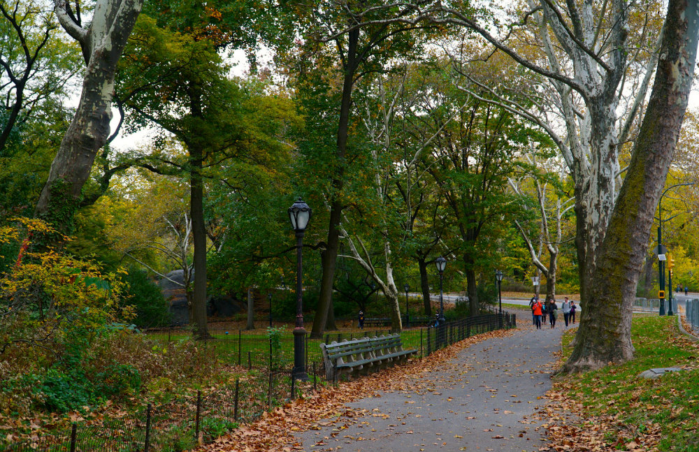 fall-walk-central-park-new-york-city-