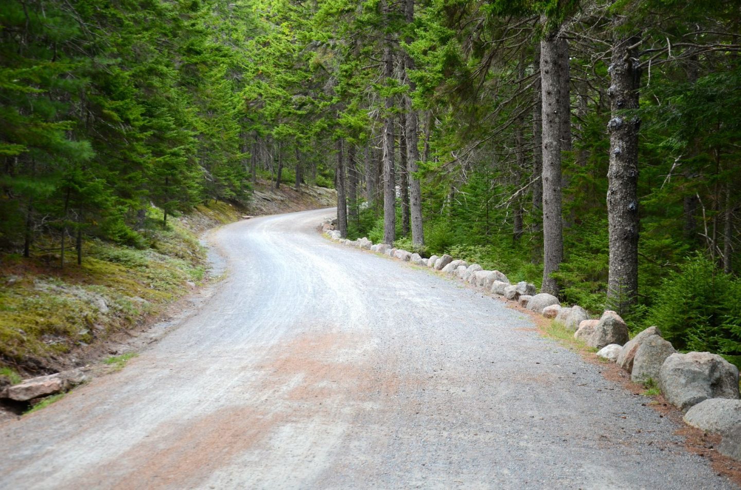 Taking a walk on the carriage roads at Acadia National Park