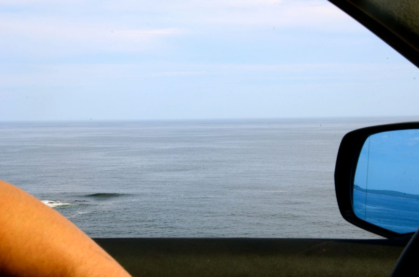 Acadia National Park with kids, driving the Loop 