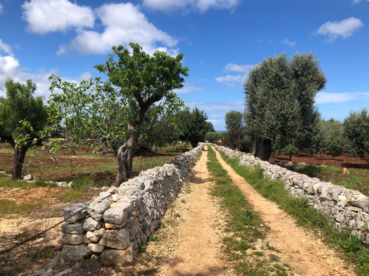 Driving to an Agriturismo in Italy