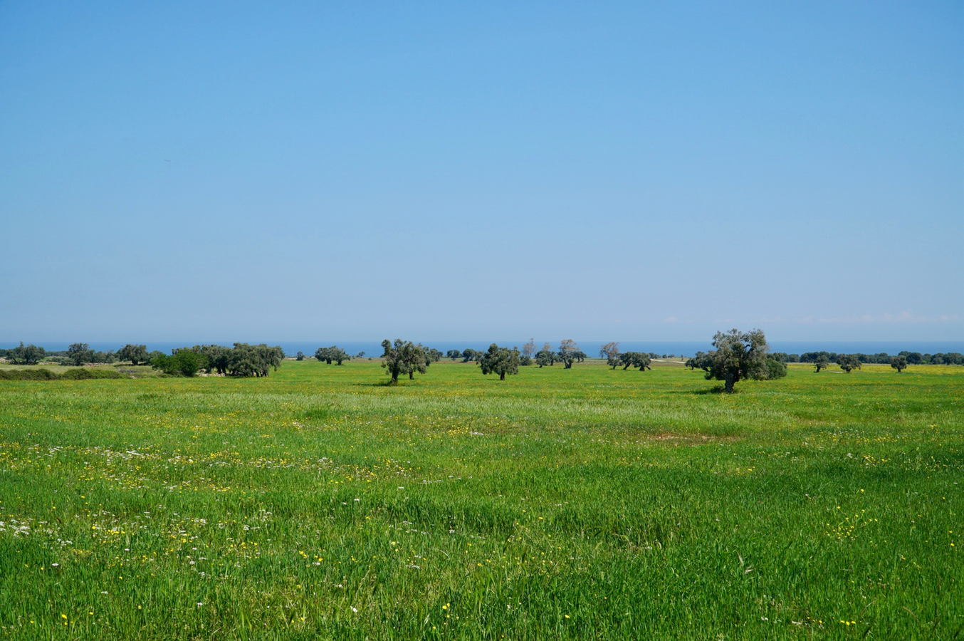 Agriturismo Italy with a view of the Adriatic Sea