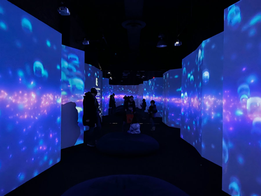 NYC’s Arcadia Earth Museum – A Multisensory Trip Where Art Meets Sustainability