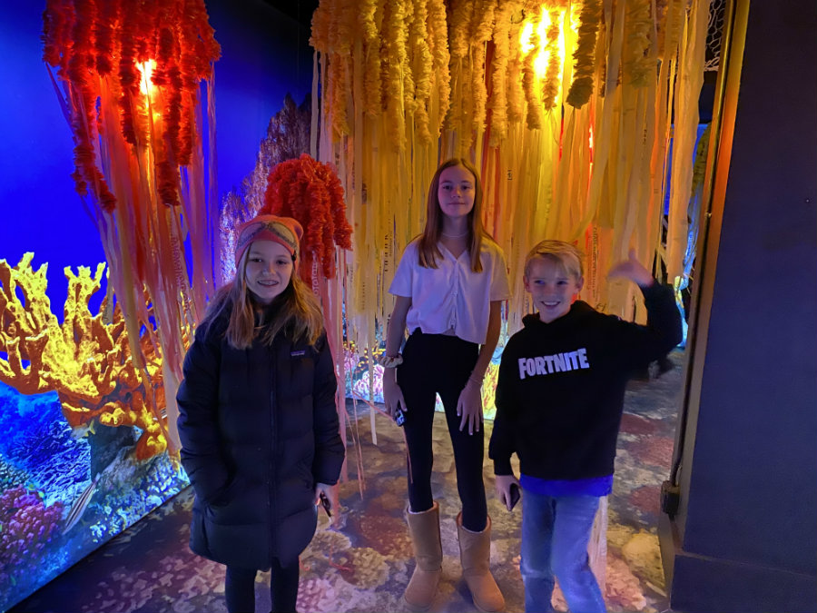 Walking through coral at New York's Arcadia Earth