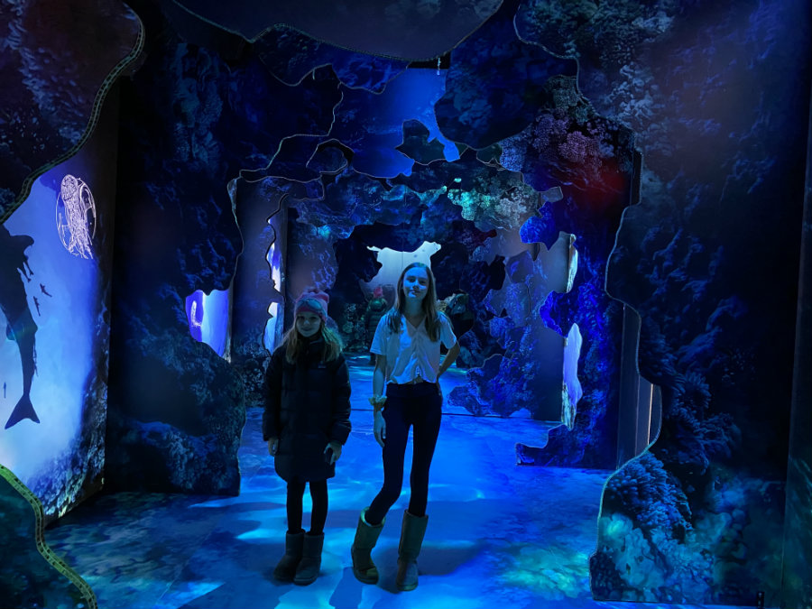 Exploring the Arcadia Earth Museum