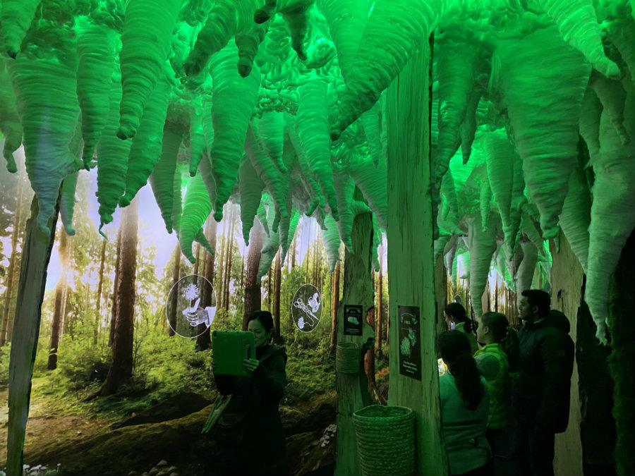 Arcadia Earth gallery