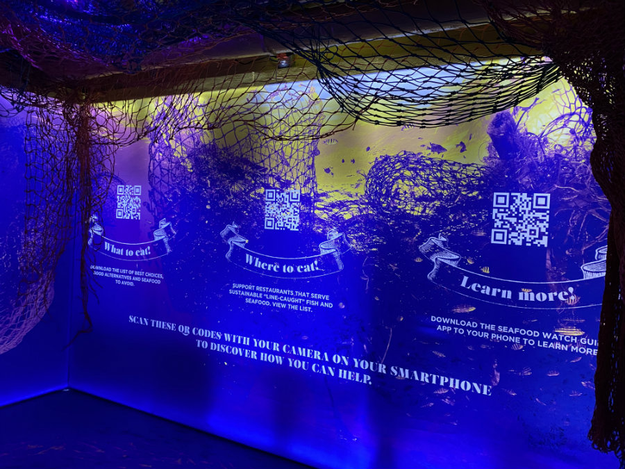Virtual reality and augmented reality at New York's Arcadia Earth
