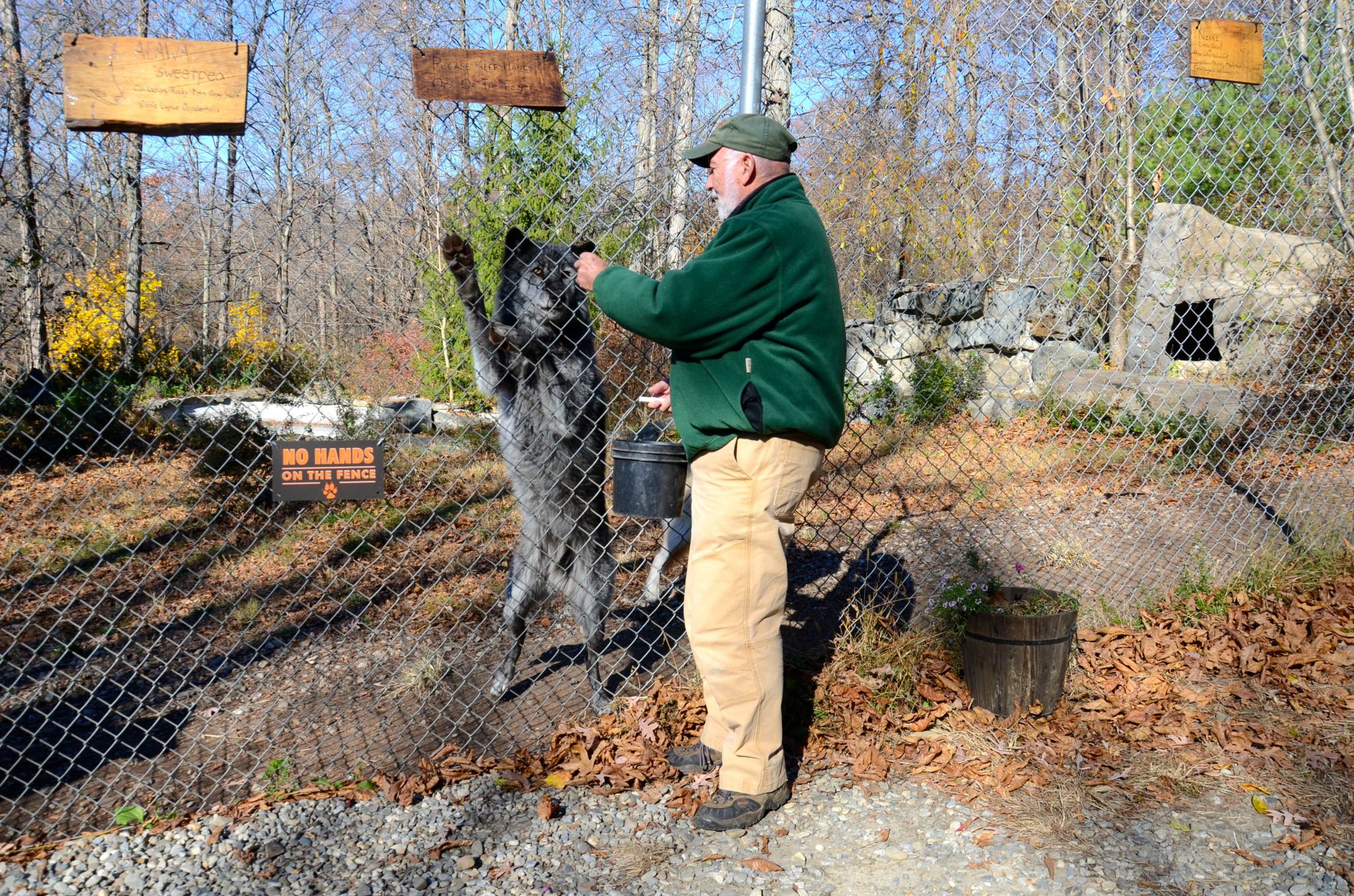Day trip to the Wolf Conservation Center in New York.