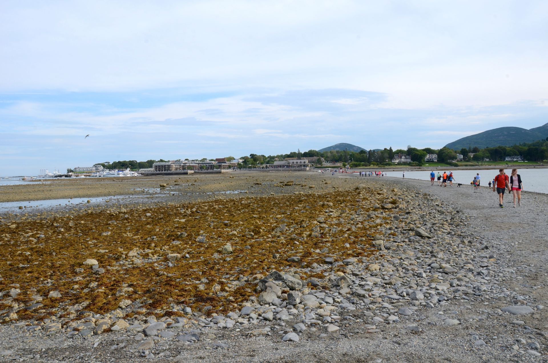 Bar Harbor Maine - Family Vacation Guide