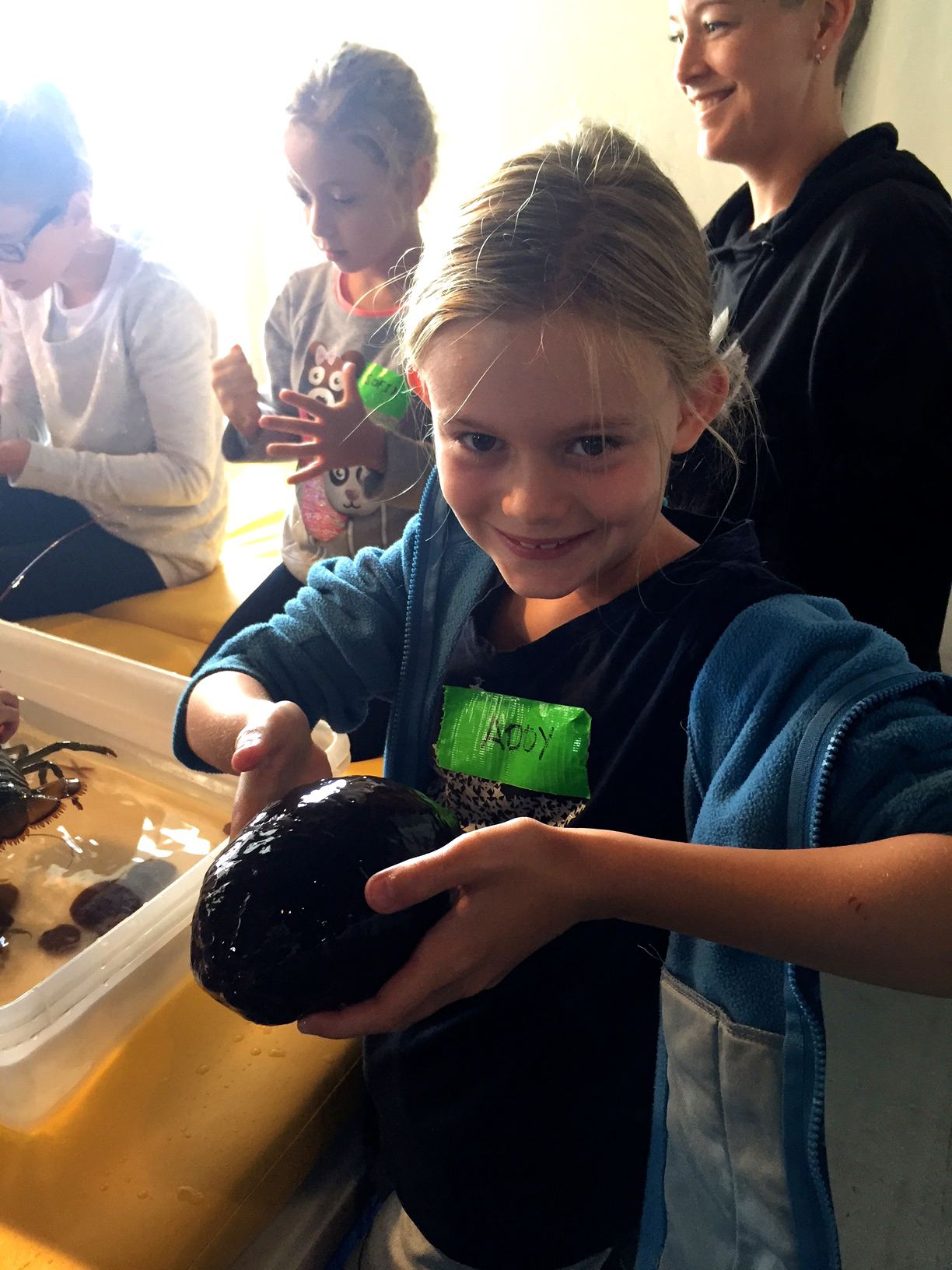 Bar Harbor Maine - Family Vacation Guide
