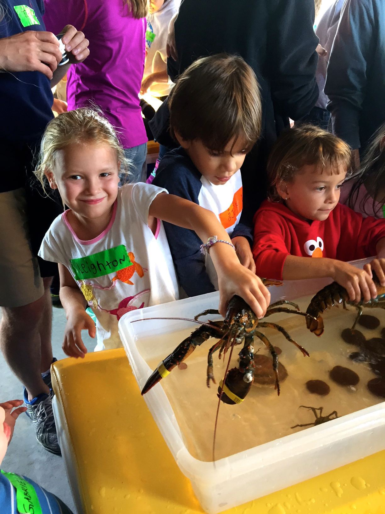 Bar Harbor Maine - Family Vacation Guide