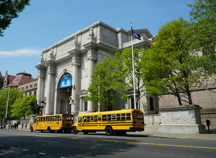Museum of Natural History is one of the best family friendly museums in New York City