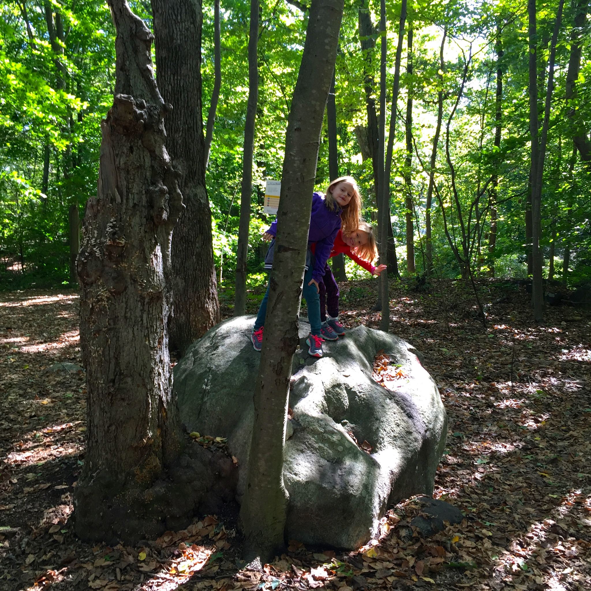 Sheldrake-nature-center-larchmont-new-york-