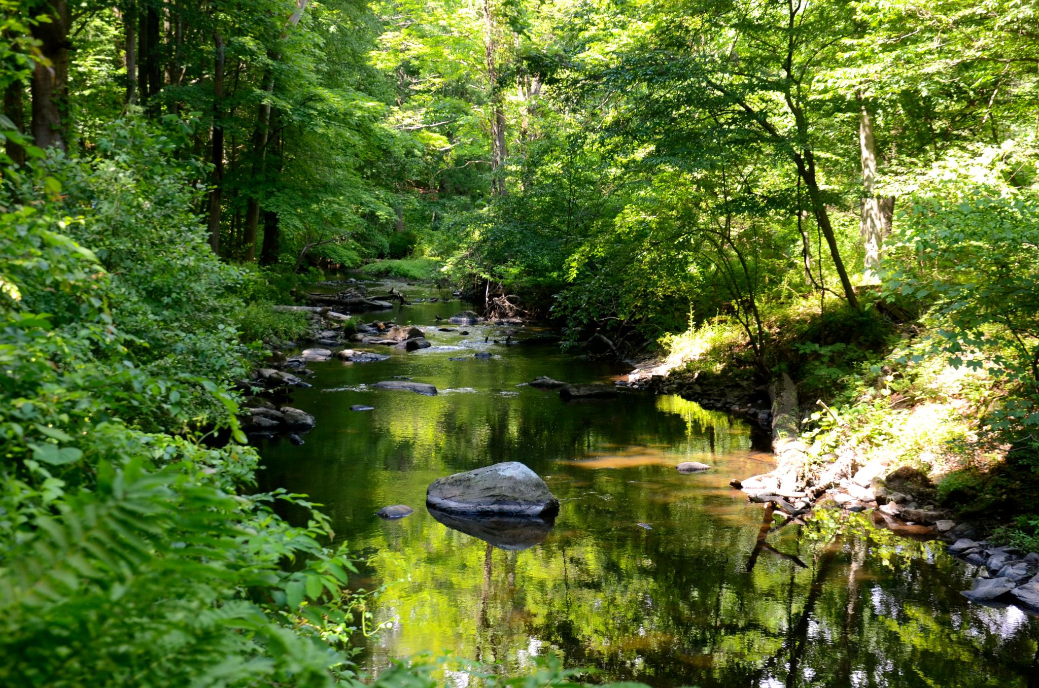 Walking by a stream in Rockefeller State Park Preserve in Westchester County, New York