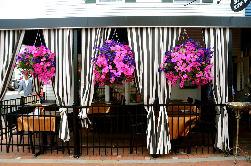 Taking a trolley tour in Cape May New Jersey.