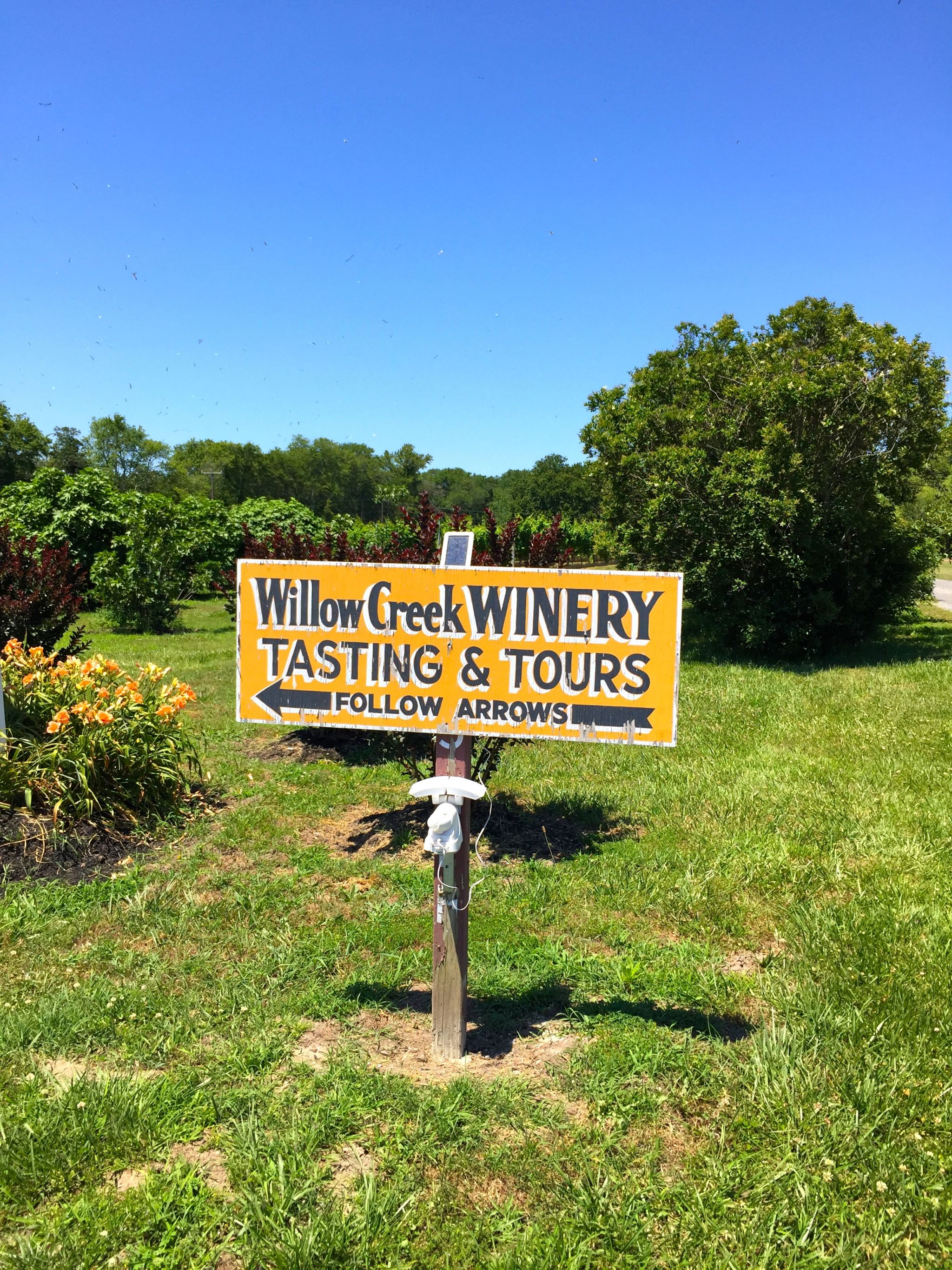 Cape May lighthouse may have been closed, but wine vineyards were open!