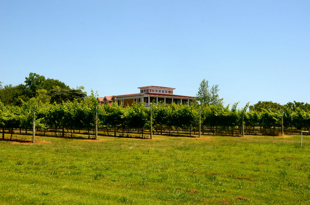 Visiting the Willow Creek wine vineyard in cape May, New Jersey.