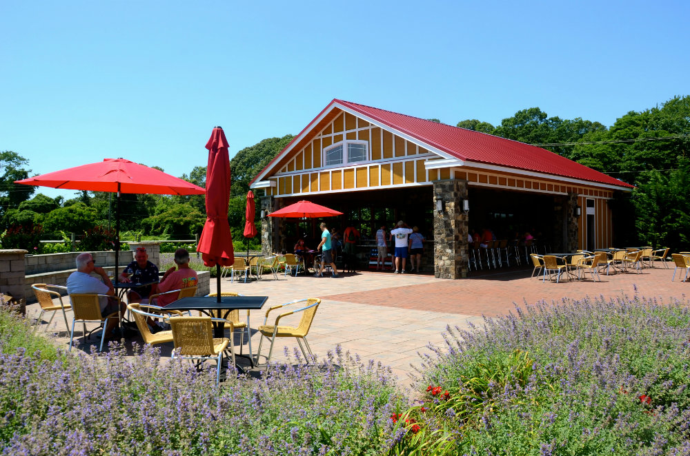 Exploring Willow Creek wine vineyards in Cape May, New Jersey.