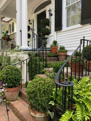 Charleston homes
