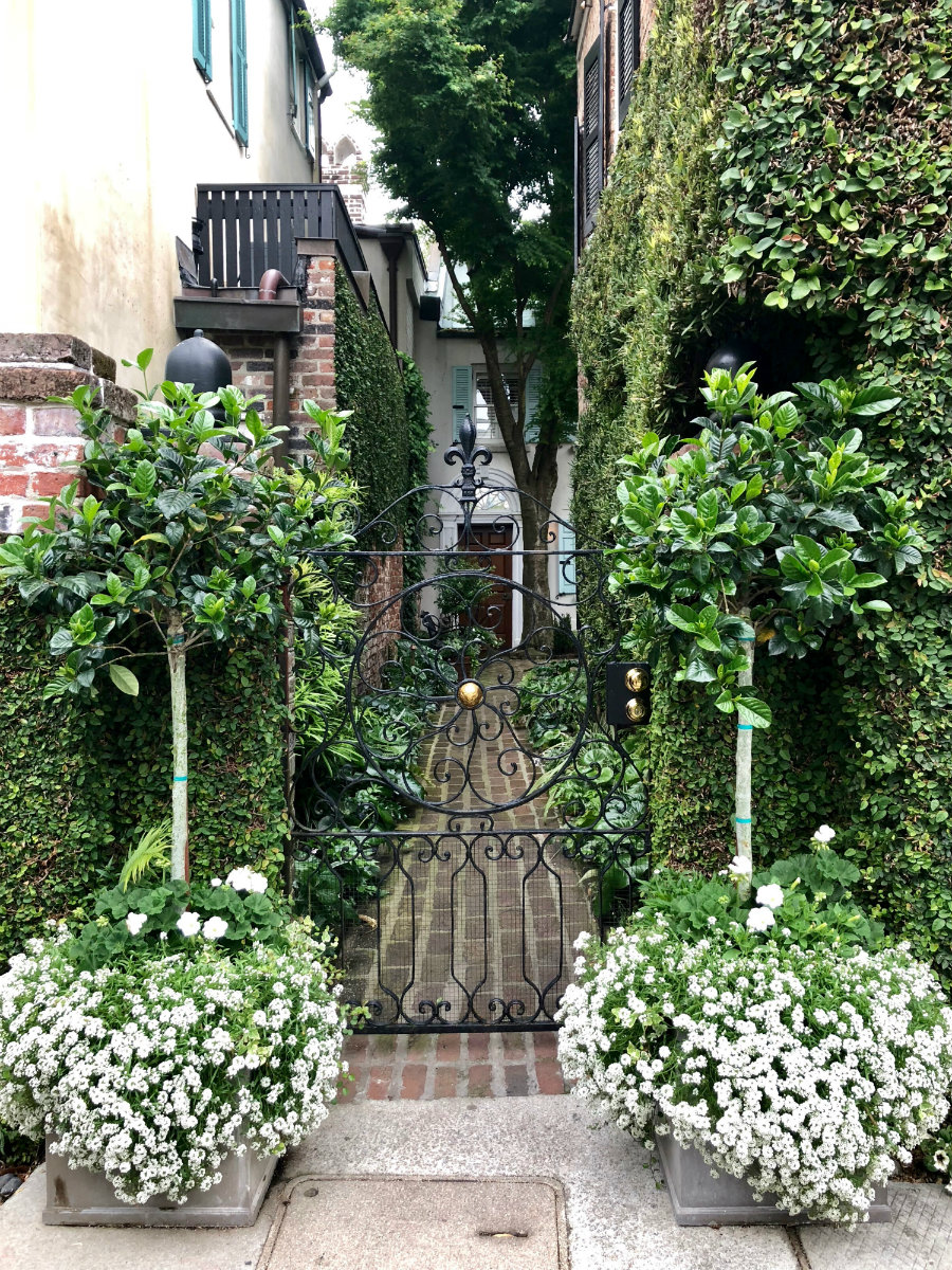 Charleston-garden-gate