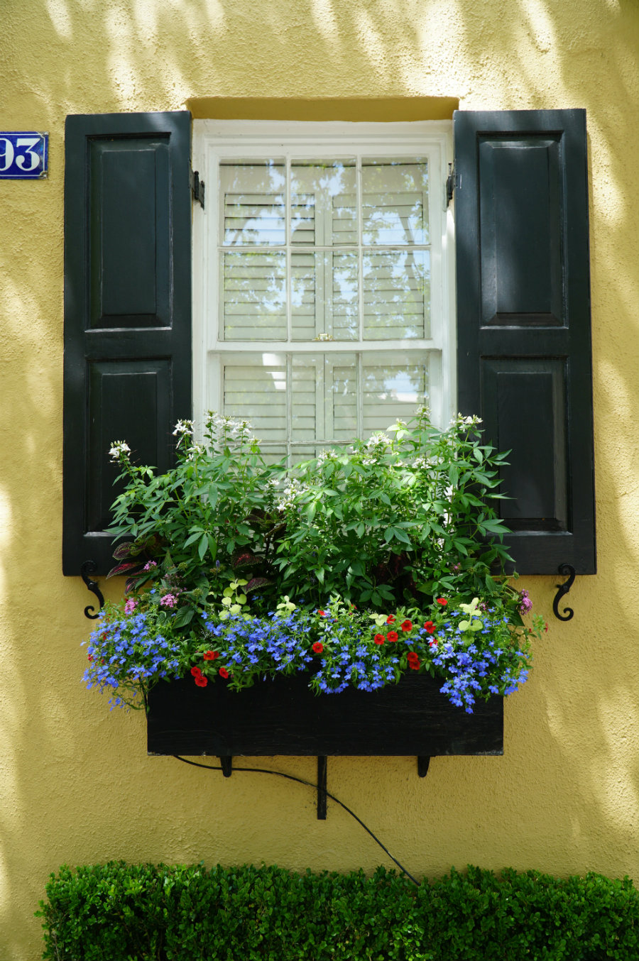 flower-box-Charleston