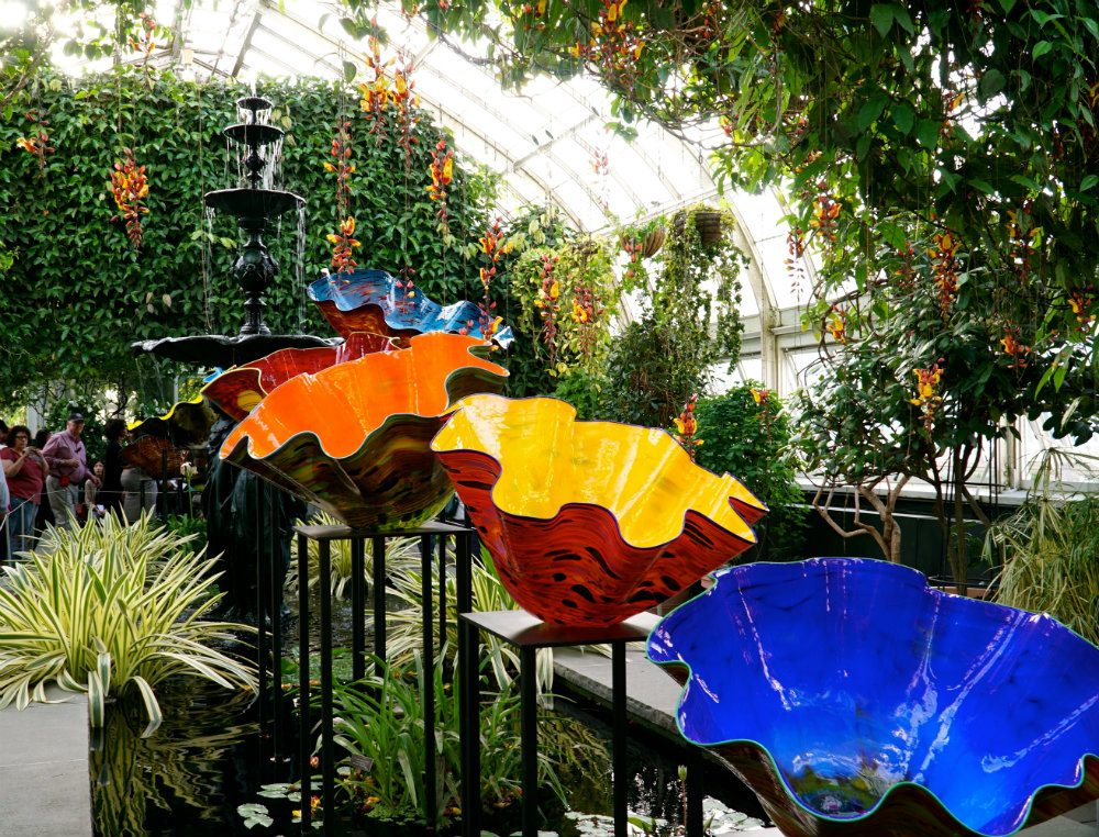 Observing the Macchia Forest at the Chihuly exhibition at the New York Botanical Garden.