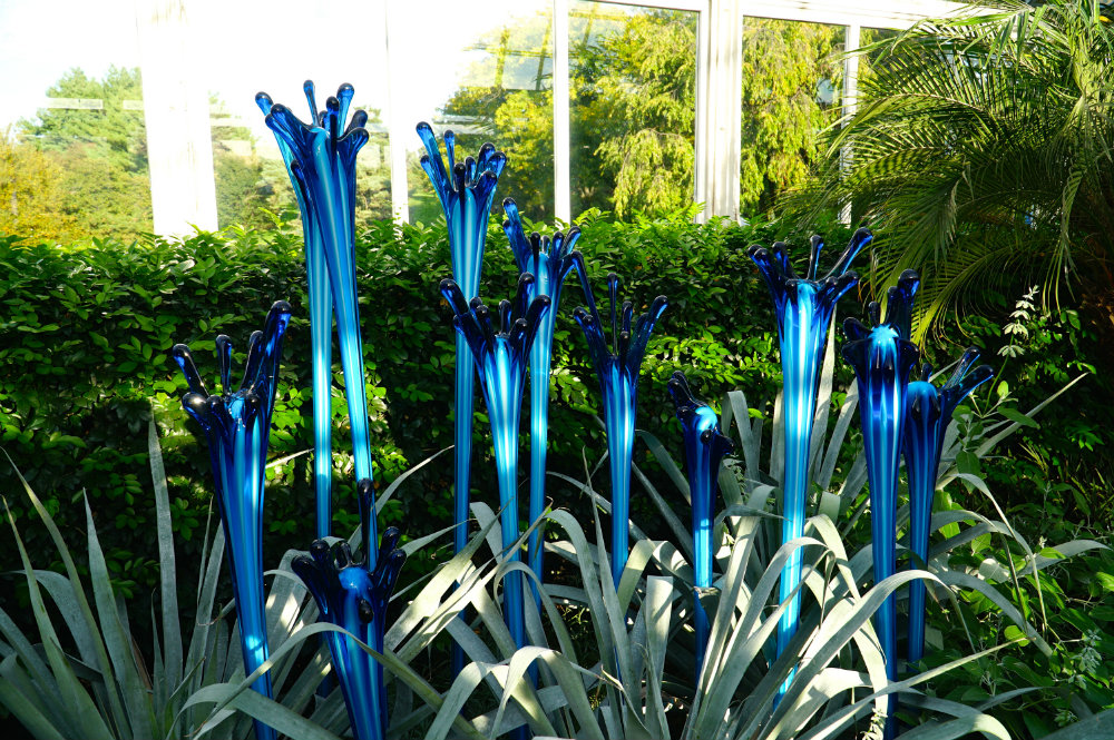 Images of the Chihuly exhibition at the New York Botanical Garden.