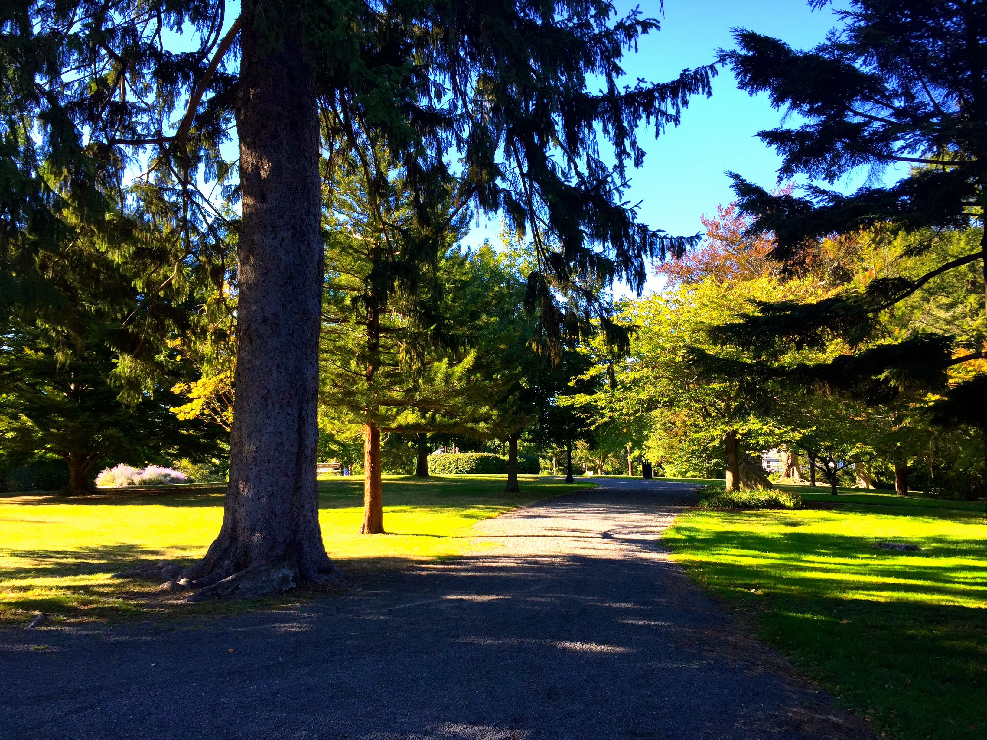 Connecticut Charmer: Ridgefield
