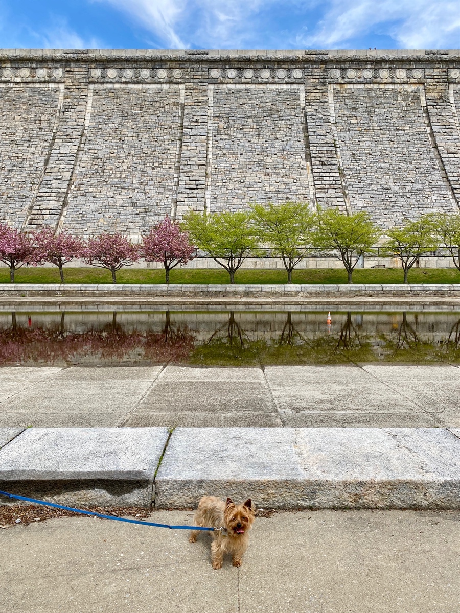 Dog-friendly walks in Westchester, Kensico Dam Plaza