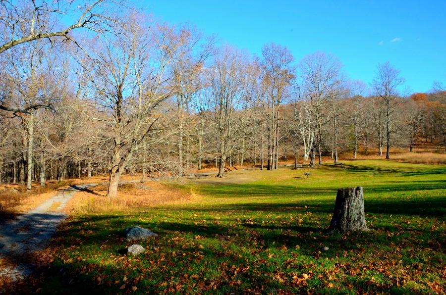 Hiking in War Pound Ridge Reservation in Westchester