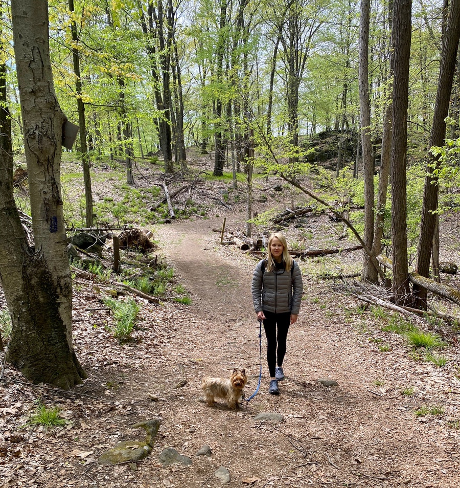 Dog-Friendly Trails in Westchester County
