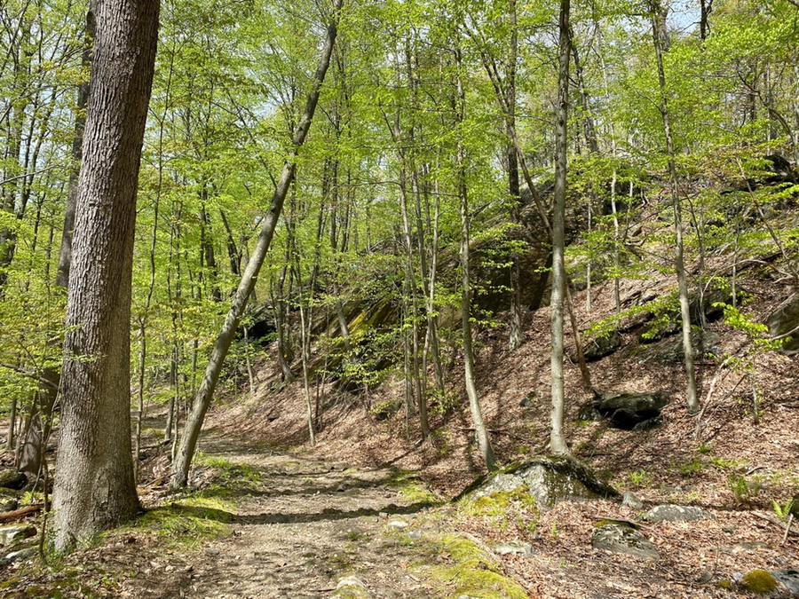 Hiking in Blue Mountain Preservation Westchester