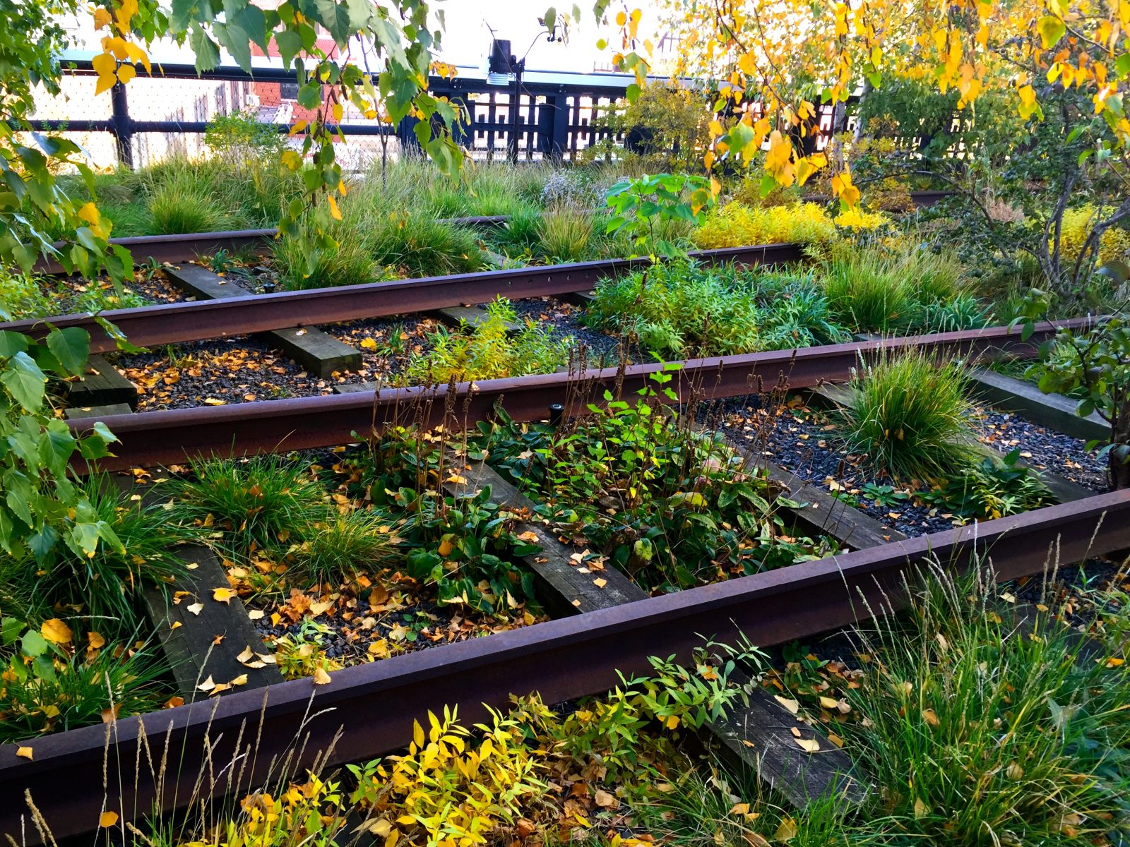 New York’s Beloved Park: Everyone Loves the High Line