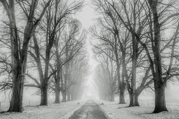 Faraway Files #108