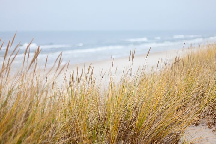 Faraway Files #123
