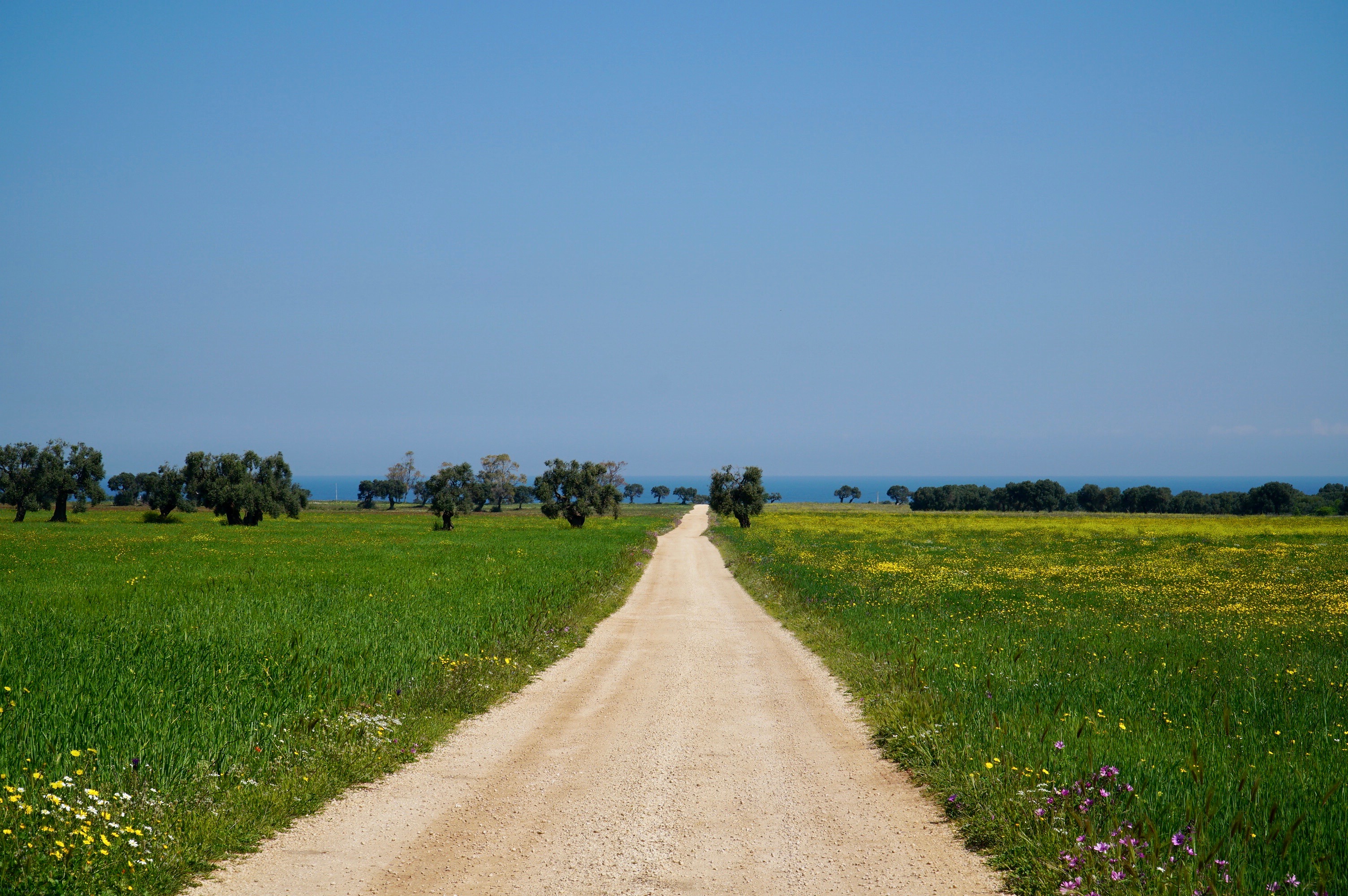 Faraway Files #128