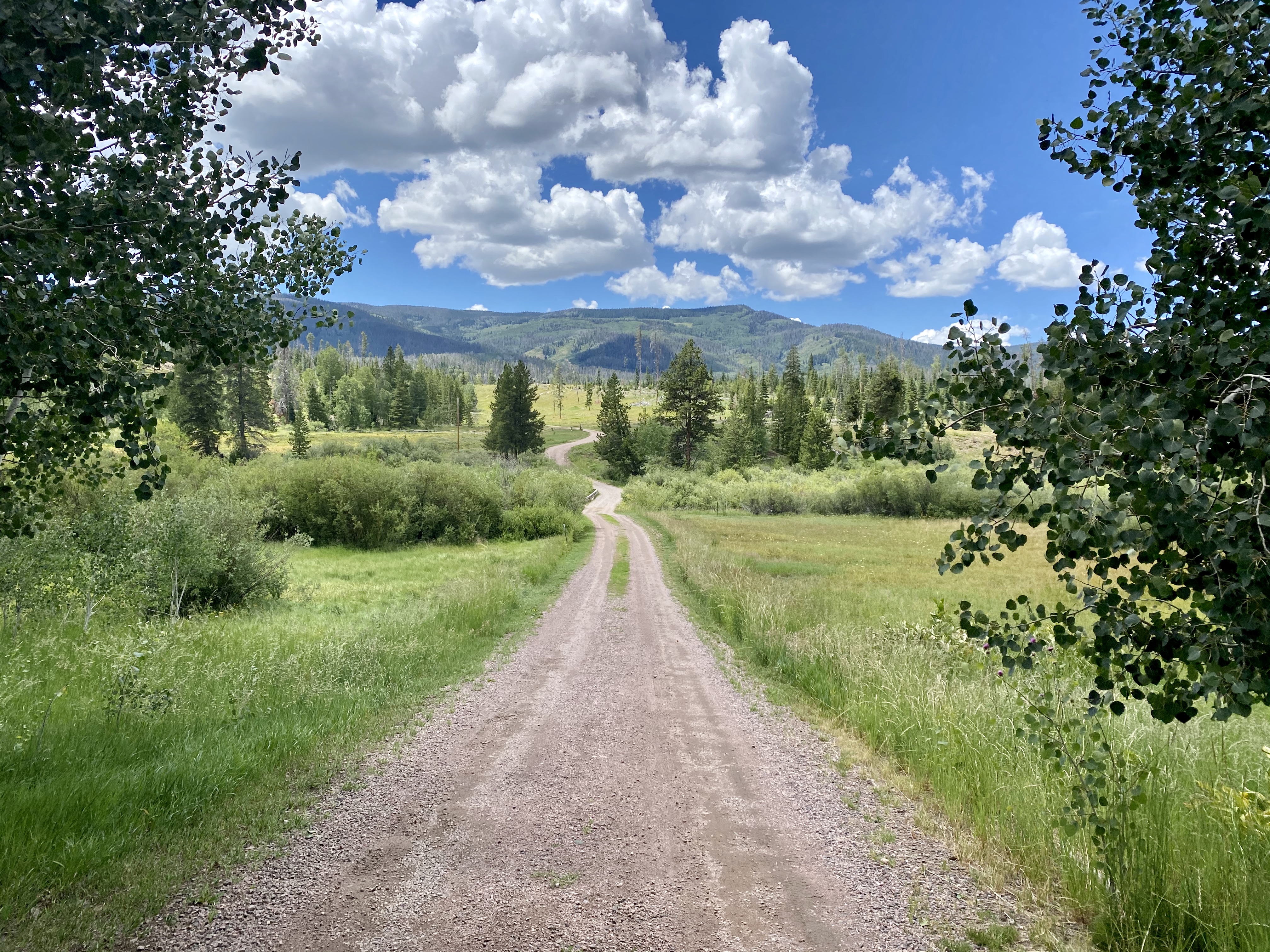 Summer walk in Colorado