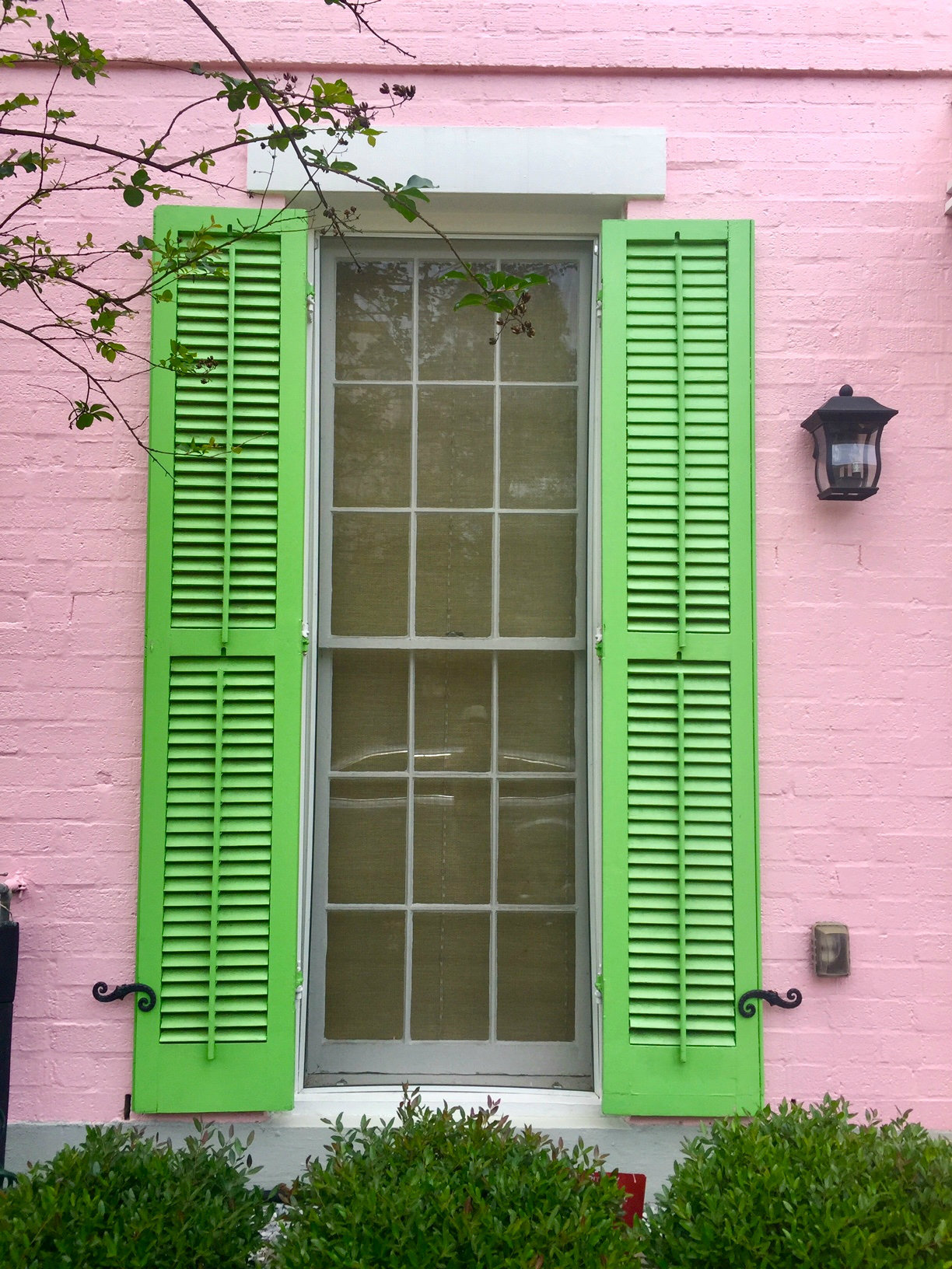 Pink and green house in the Garden District in New Orleans